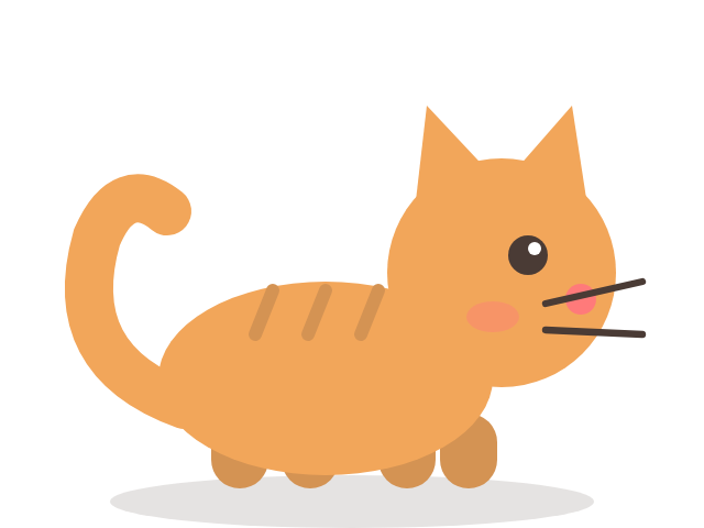 Turuncu kedi